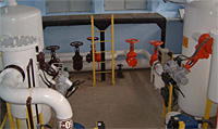 PRI�TINA, KOSOVO, SNAKE DEPOT
